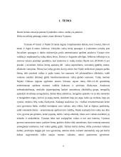 Socialinis darbas - šeimos analizė 3 puslapis