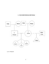 Socialinis darbas - šeimos analizė 7 puslapis