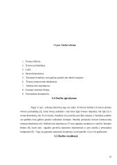 Sintetinių opalų optinis orientavimas 15 puslapis