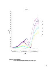 Sintetinių opalų optinis orientavimas 16 puslapis