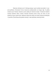 Sintetinių opalų optinis orientavimas 18 puslapis