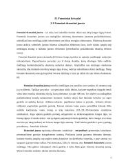 Sintetinių opalų optinis orientavimas 3 puslapis