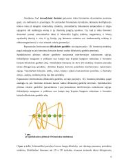 Sintetinių opalų optinis orientavimas 4 puslapis
