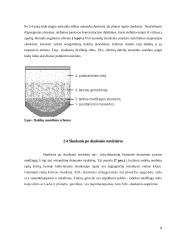 Sintetinių opalų optinis orientavimas 8 puslapis