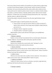 Sistemos struktūra 3 puslapis