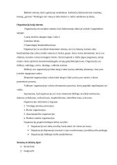 Sistemos struktūra 4 puslapis