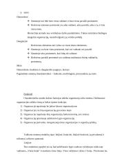 Sistemos struktūra 5 puslapis