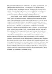 Sistemos struktūra 6 puslapis