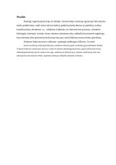 Sistemos struktūra 7 puslapis