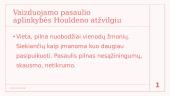 Rugiuose prie bedugnės - knygos pristatymo skaidrės 6 puslapis