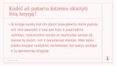 Rugiuose prie bedugnės - knygos pristatymo skaidrės 7 puslapis