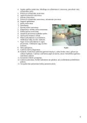 Siuvimo technologijos: UAB "Stalkersa" 8 puslapis