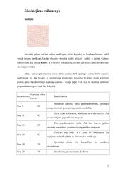 Siuvinėjimas kryželiu pagal lietuvių liaudies tradicijas 2 puslapis