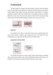 Siuvinėjimas kryželiu pagal lietuvių liaudies tradicijas 4 puslapis