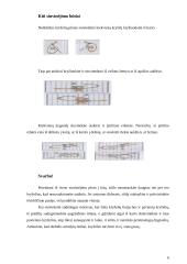 Siuvinėjimas kryželiu pagal lietuvių liaudies tradicijas 6 puslapis