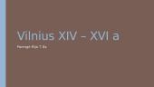 Vilnius XIV – XVI a.