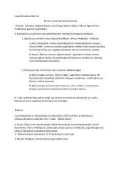 Kančios tema lietuvių literatūroje. Planas