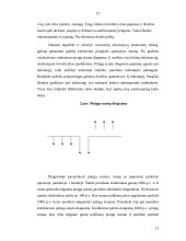 Skolinamasis kapitalas, palūkanos ir palūkanų normos dinamika Lietuvoje 13 puslapis