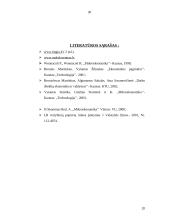 Skolinamasis kapitalas, palūkanos ir palūkanų normos dinamika Lietuvoje 20 puslapis