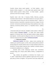 Skolinamasis kapitalas, palūkanos ir palūkanų normos dinamika Lietuvoje 4 puslapis