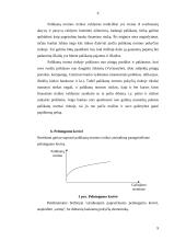 Skolinamasis kapitalas, palūkanos ir palūkanų normos dinamika Lietuvoje 9 puslapis