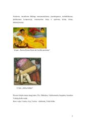 Kūrybinio darbo aprašas. Darbų ciklas „Meksikos link“ 11 puslapis