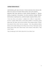 Kūrybinio darbo aprašas. Darbų ciklas „Meksikos link“ 12 puslapis
