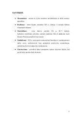 Kūrybinio darbo aprašas. Darbų ciklas „Meksikos link“ 13 puslapis