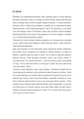 Kūrybinio darbo aprašas. Darbų ciklas „Meksikos link“ 4 puslapis