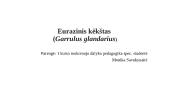 Eurazinis kėkštas (Garrulus glandarius) 20 puslapis