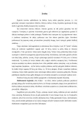 Skolinamasis kapitalas. Palūkanos 2 puslapis