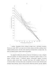 Skolinamasis kapitalas. Palūkanos 6 puslapis