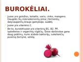 Daržovės - ir maistas, ir vaistas 12 puslapis