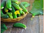 Daržovės - ir maistas, ir vaistas 17 puslapis