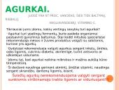 Daržovės - ir maistas, ir vaistas 18 puslapis