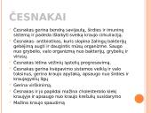 Daržovės - ir maistas, ir vaistas 20 puslapis