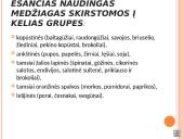 Daržovės - ir maistas, ir vaistas 5 puslapis