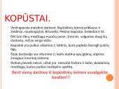 Daržovės - ir maistas, ir vaistas 8 puslapis