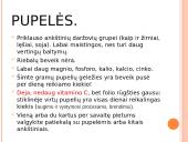 Daržovės - ir maistas, ir vaistas 10 puslapis