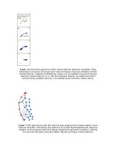 Skruzdėlių, kaip bendruomeninių  vabzdžių, ypatumai 5 puslapis