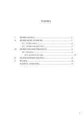 Skurdas, jo kilmė ir pobūdis 2 puslapis