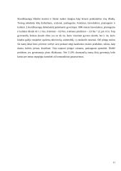 Skurdas, jo kilmė ir pobūdis 11 puslapis