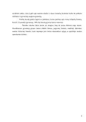 Skurdas, jo kilmė ir pobūdis 4 puslapis