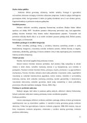 Skurdo problema Lietuvos visuomenėje 11 puslapis