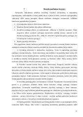 Skurdo problema Lietuvos visuomenėje 12 puslapis