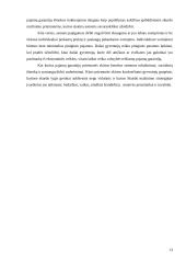 Skurdo problema Lietuvos visuomenėje 13 puslapis