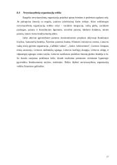 Skurdo problema Lietuvos visuomenėje 17 puslapis