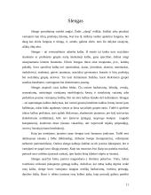 Slengas, netaisyklingi žodžiai 11 puslapis