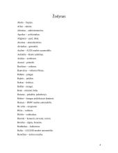 Slengas, netaisyklingi žodžiai 4 puslapis