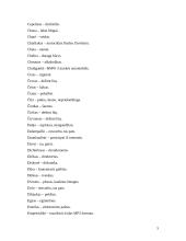 Slengas, netaisyklingi žodžiai 5 puslapis